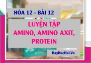 Bài tập luyện tập Amin, Amino axit và Protein có đáp lời giải - Hóa 12 bài 12